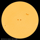 SDO/HMI Continuum Image of the Sun